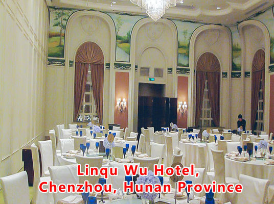 İyi bir fiyat. Aluminum Wooden Movable Partition Wall with 304 Stainless Steel Rollers and 6061-T6 Profile for Office Room çevrimiçi