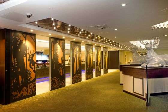 AE oda bölücüler bölümler restoran için özel bölümler taşınabilir bölümler ofis için duvar